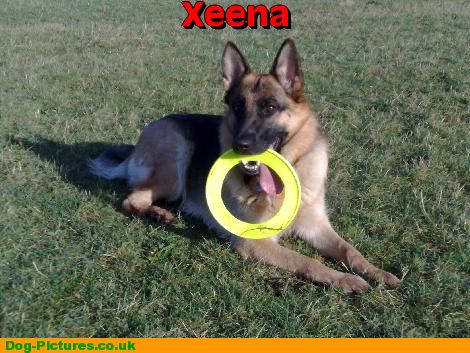 Xeena
