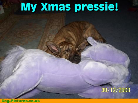 My Xmas pressie!