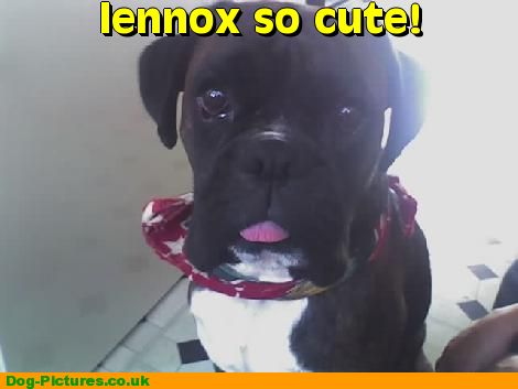 lennox so cute!