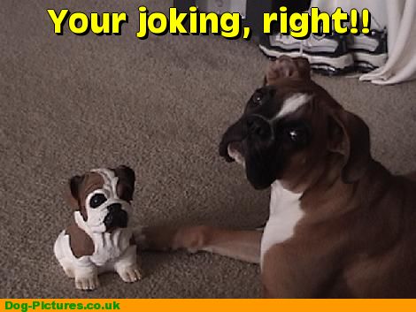 Your joking, right!!