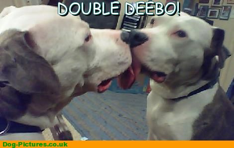 DOUBLE DEEBO!