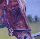 At the water trough horse portrait in pastels 16x20